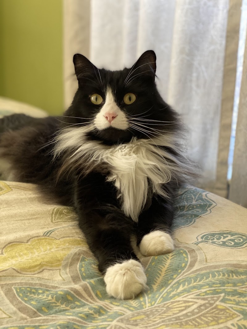 Fern Hill Veterinary Care