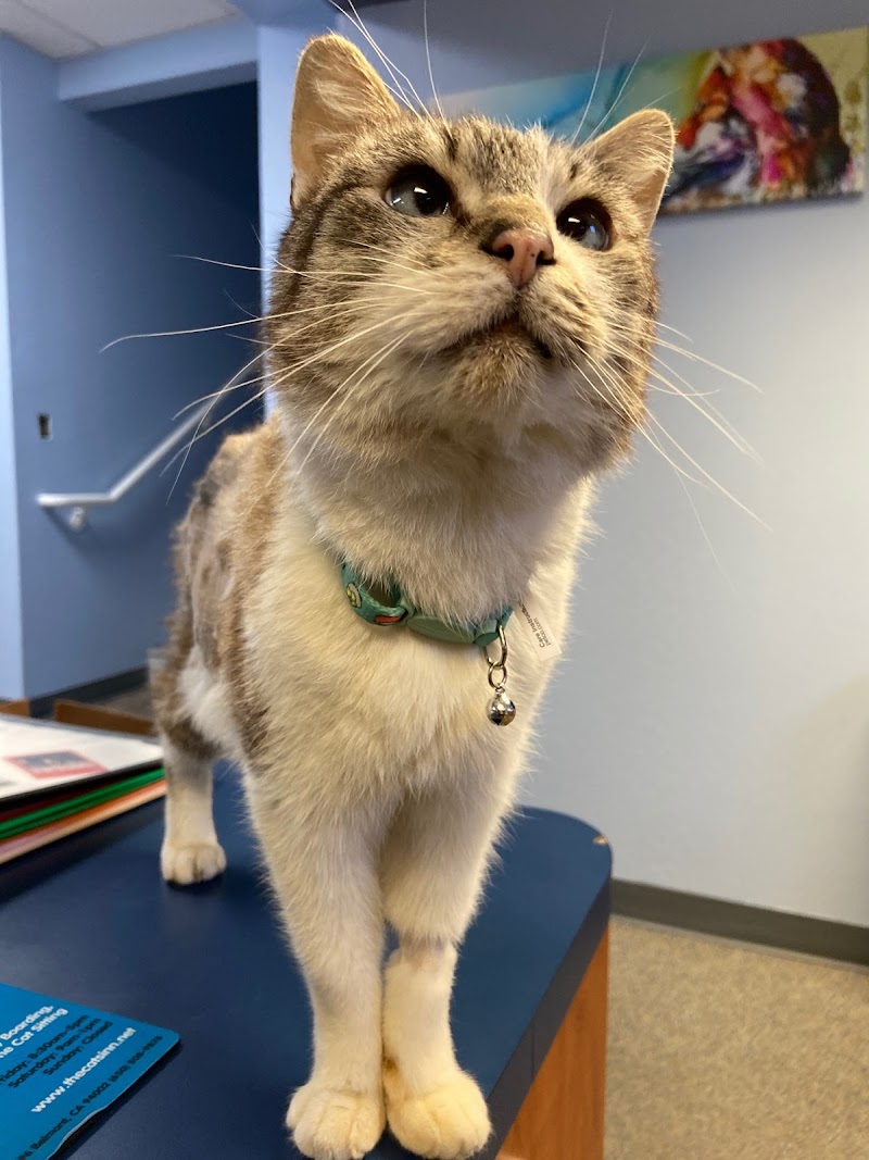 Lenity Vet Specialists + Emergency Care