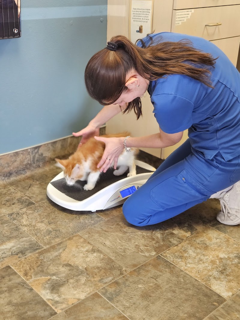 Governor Animal Clinic