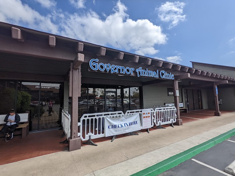 Governor Animal Clinic
