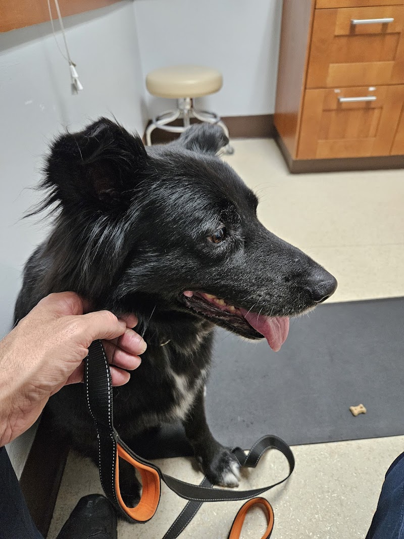 Park Animal Hospital and Wellness Center