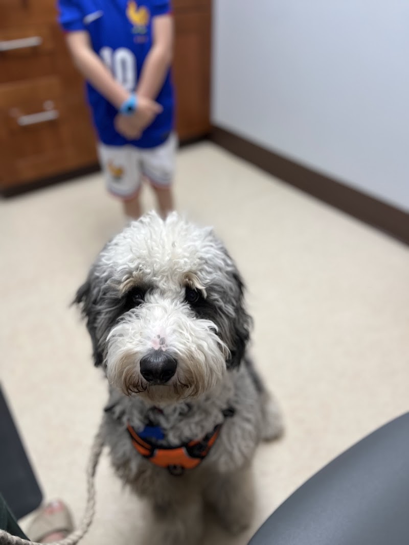 Park Animal Hospital and Wellness Center