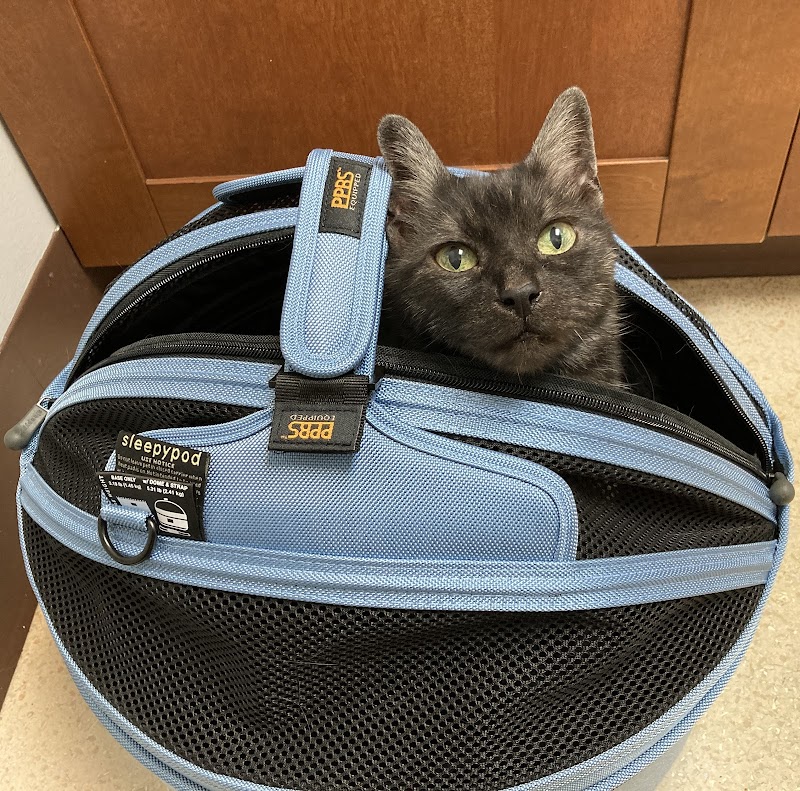 Park Animal Hospital and Wellness Center