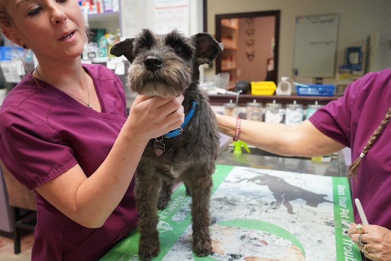 Kainer Veterinary Hospital