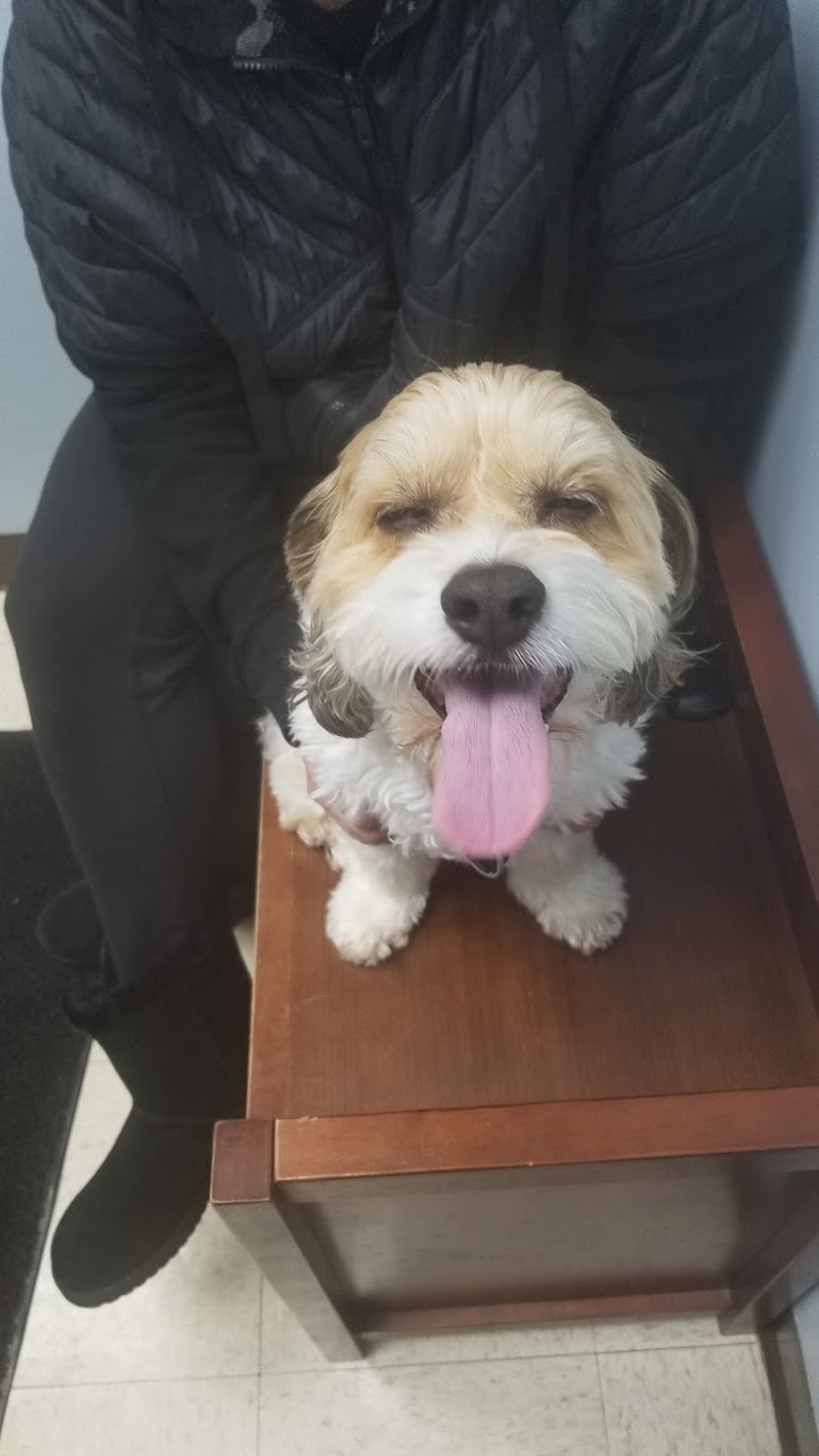 Northbrook Animal Clinic