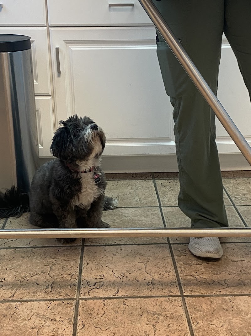 Mission Valley Pet Clinic