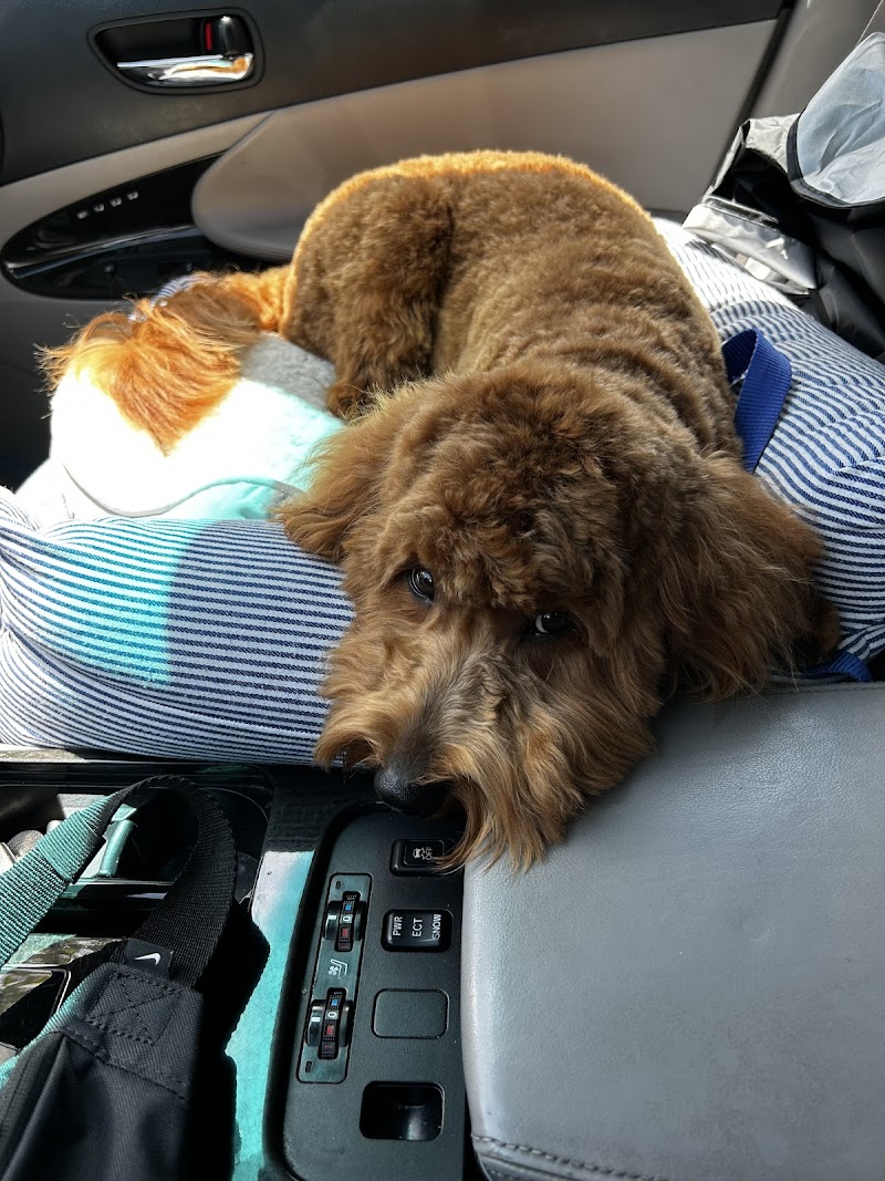 Mission Valley Pet Clinic