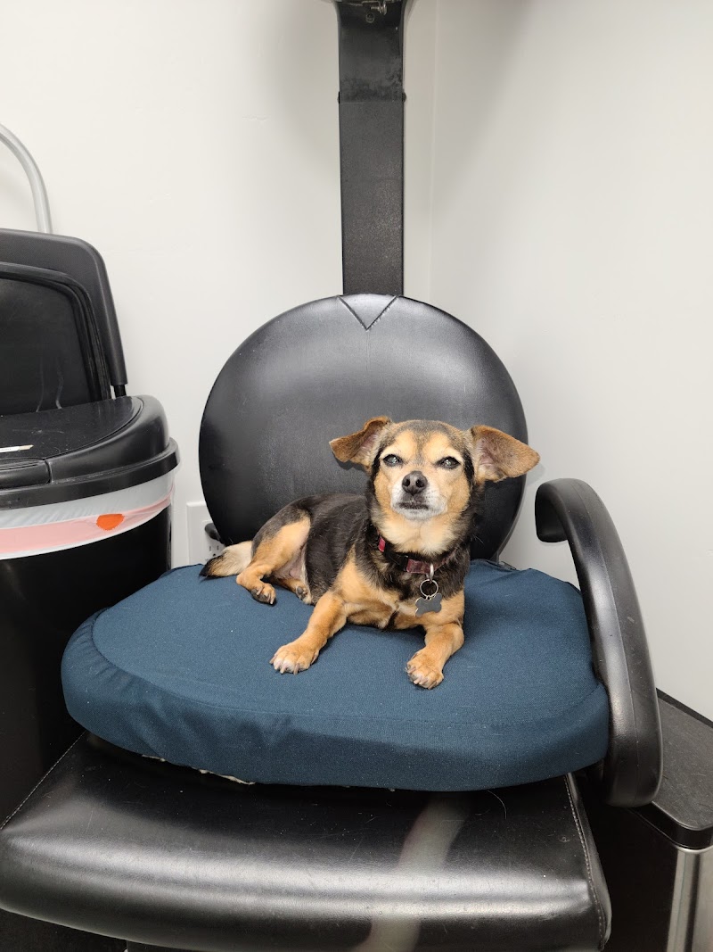 Mission Valley Pet Clinic