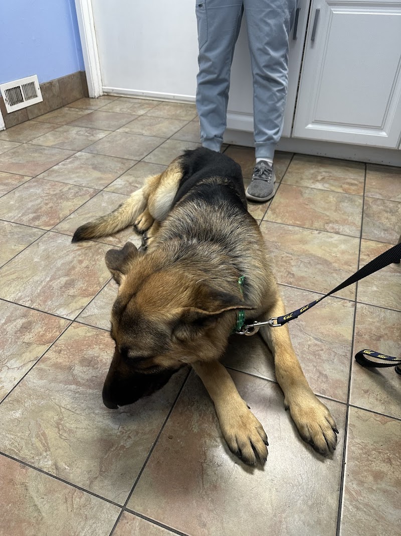 Mission Valley Pet Clinic