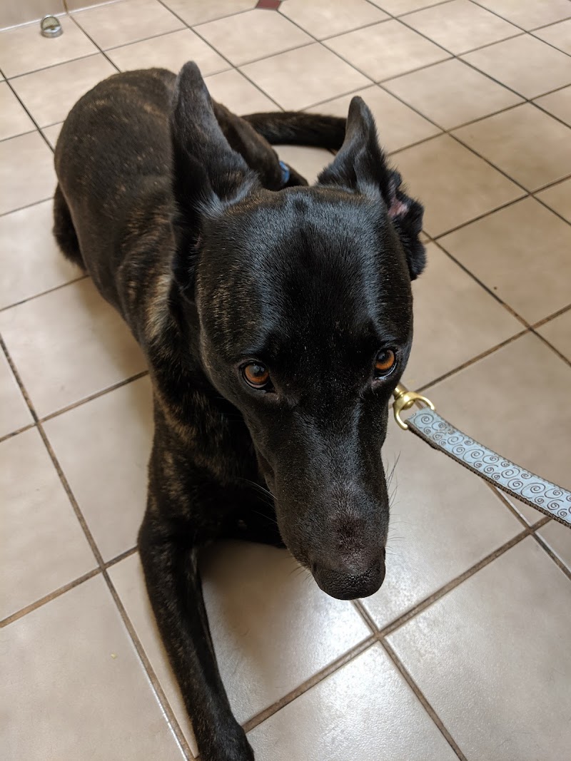 Presidio Way Pet Hospital