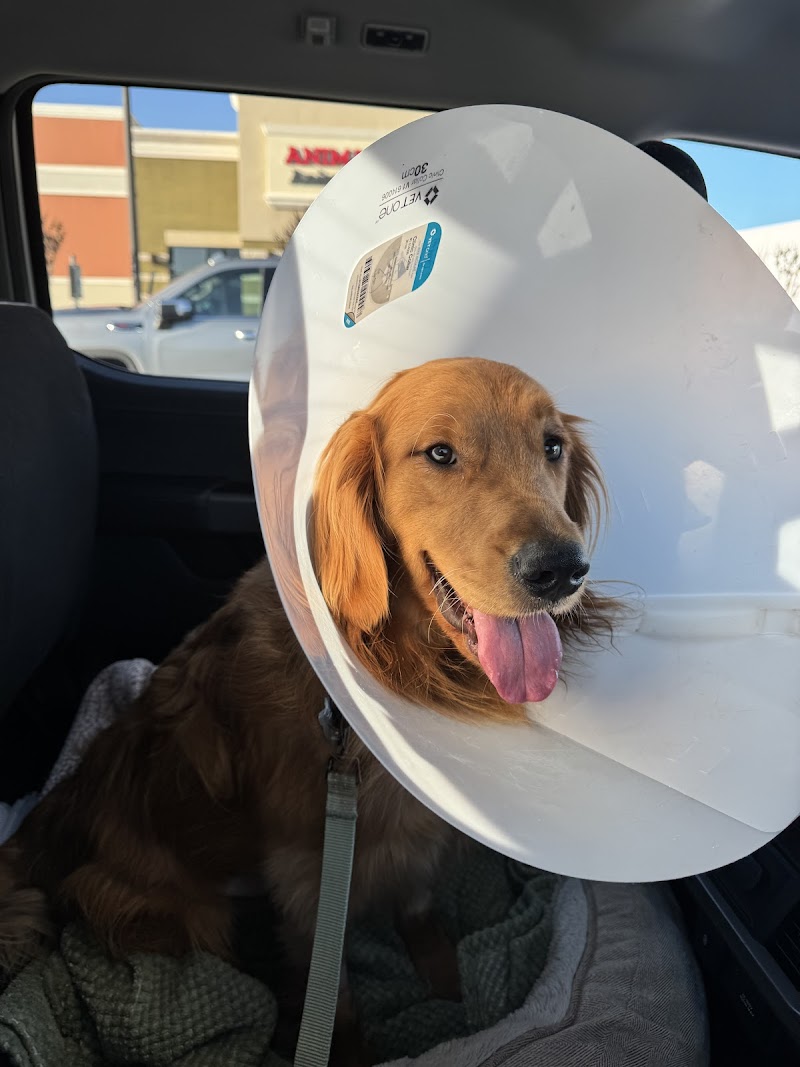 Animal Hospital and Emergency Clinic of Conroe