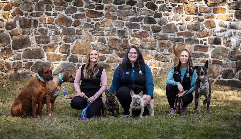 United Vision Pet Partners