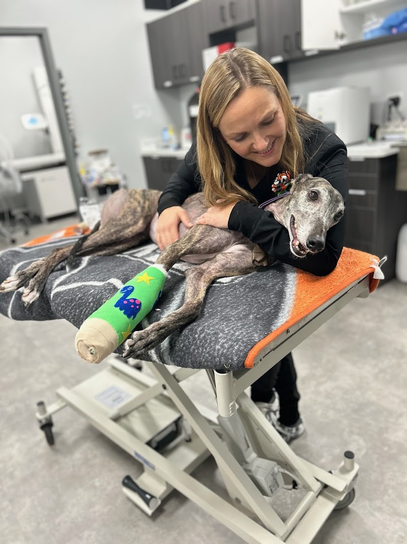 United Vision Pet Partners