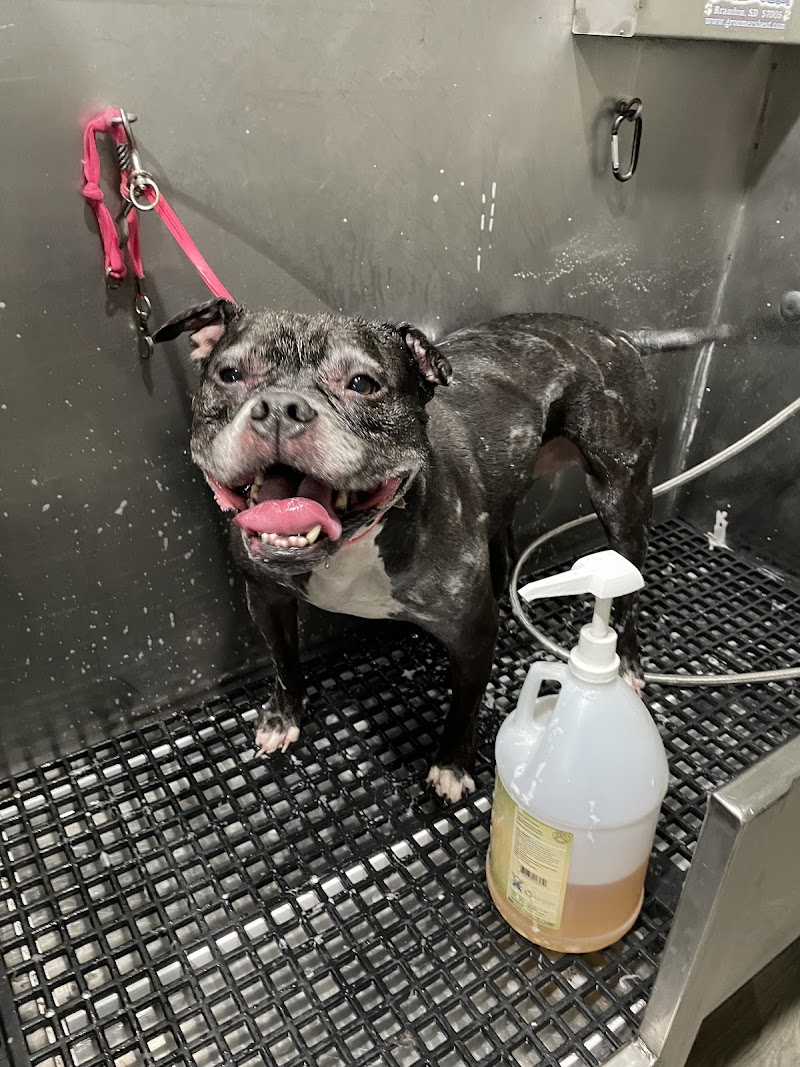 Duke Animal Hospital