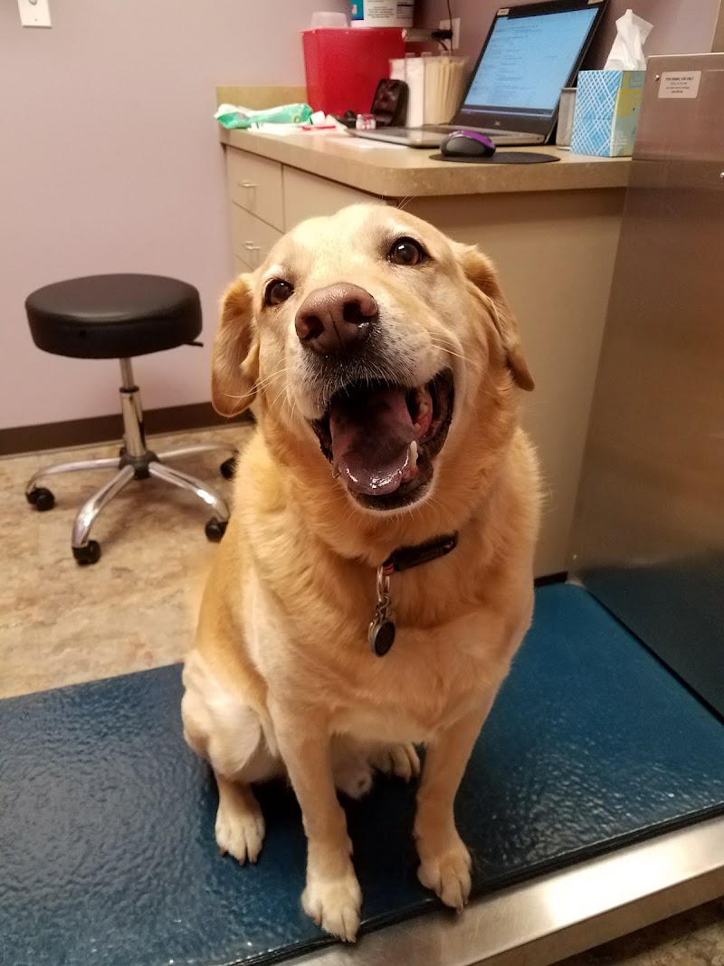 Duke Animal Hospital