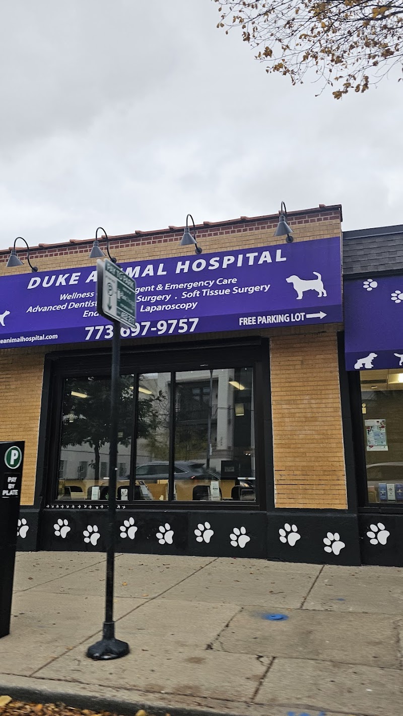 Duke Animal Hospital
