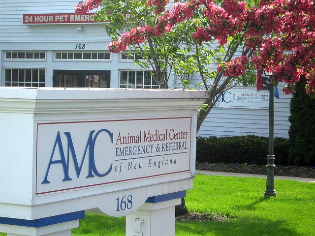 Animal Medical Center of New England