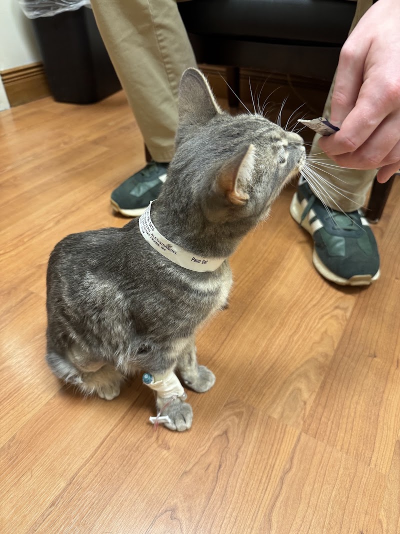University of Pennsylvania Veterinary Hospital Emergency Wing