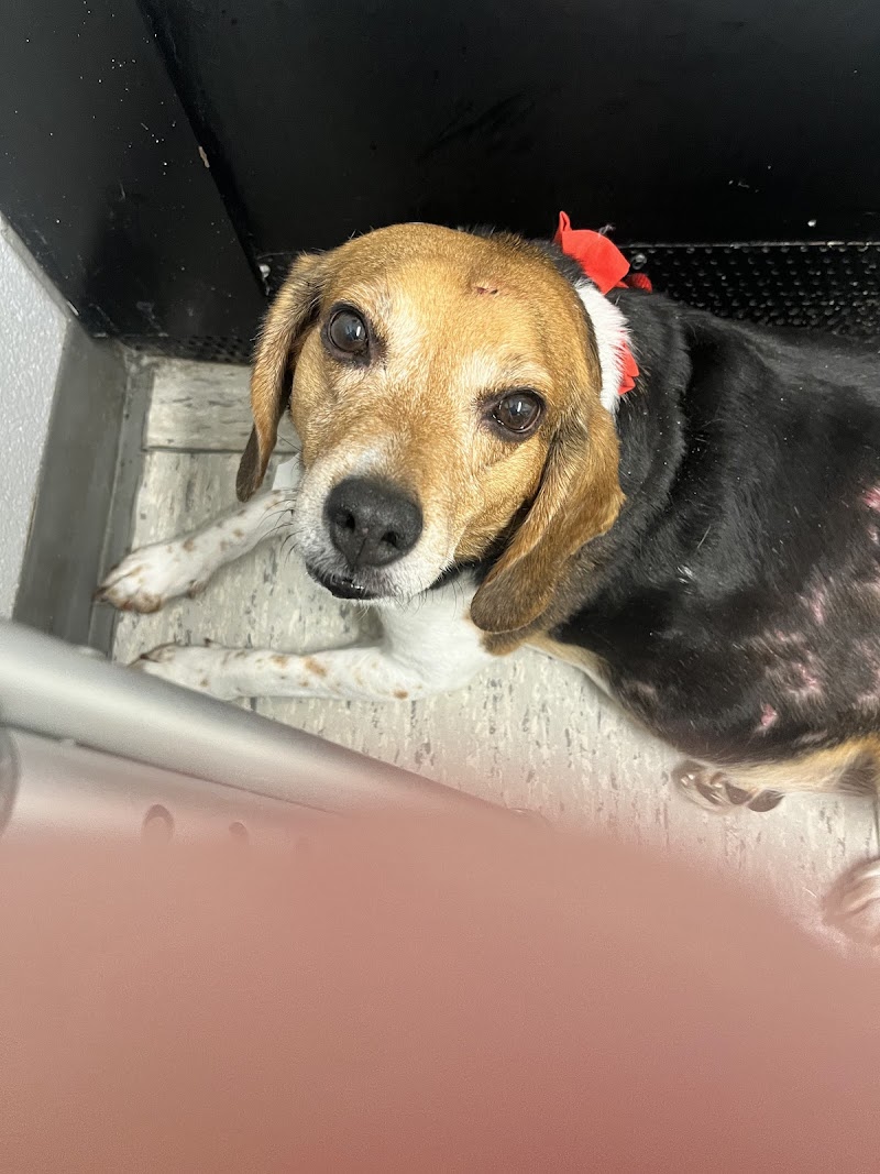 University of Pennsylvania Veterinary Hospital Emergency Wing