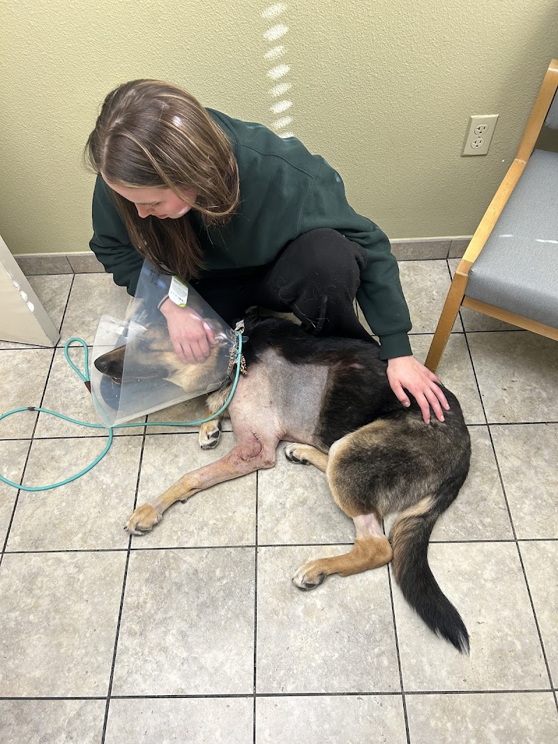 Pet Emergency & Specialty Center of Marin