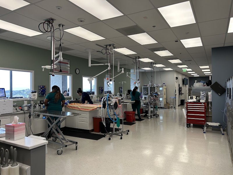Pet Emergency & Specialty Center of Marin