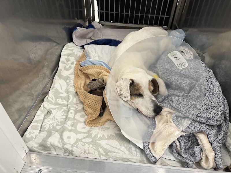 Pet Emergency & Specialty Center of Marin