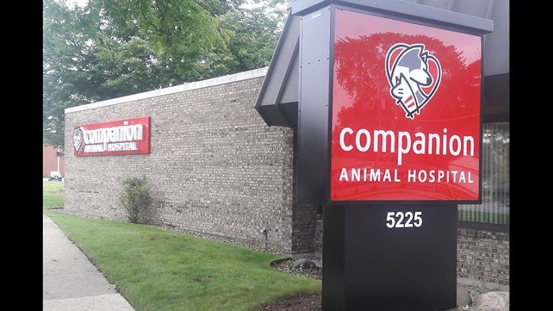 Companion Skokie