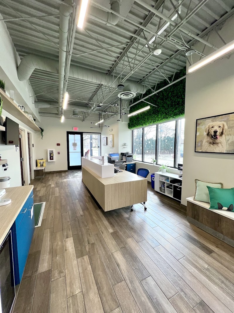 Companion Skokie