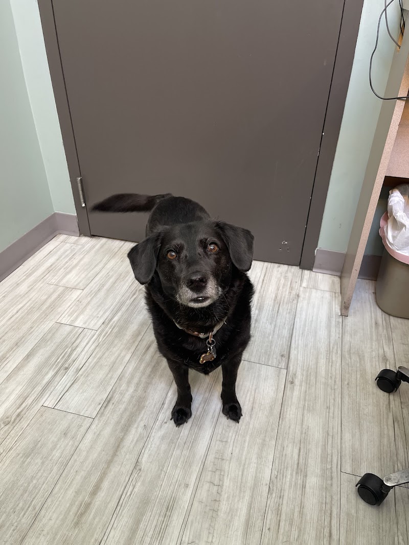 Elliott Bay Animal Hospital