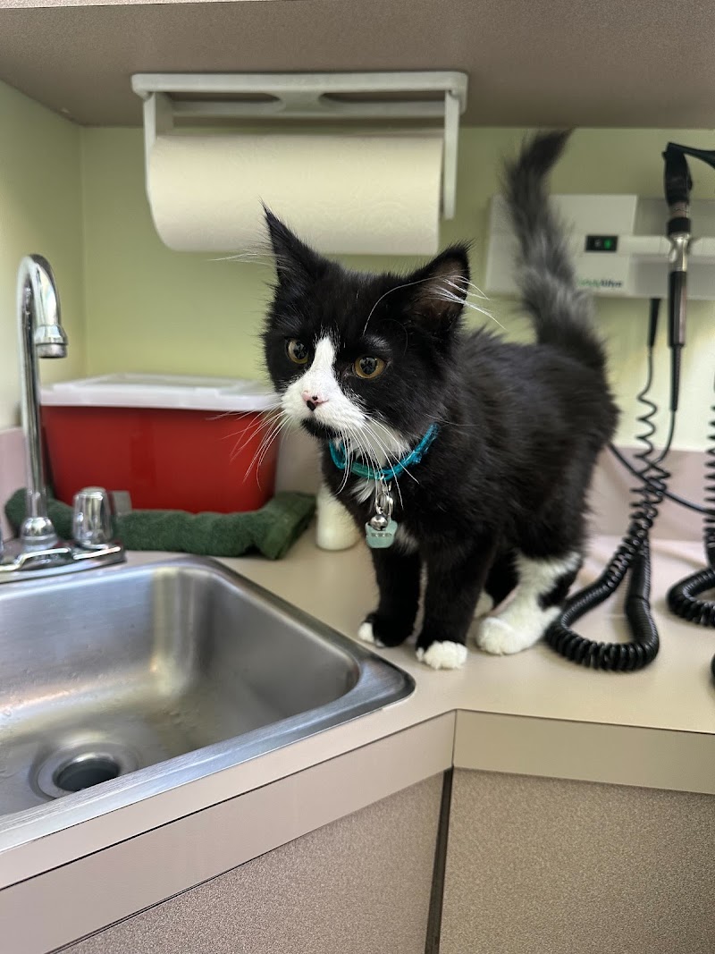 Elliott Bay Animal Hospital
