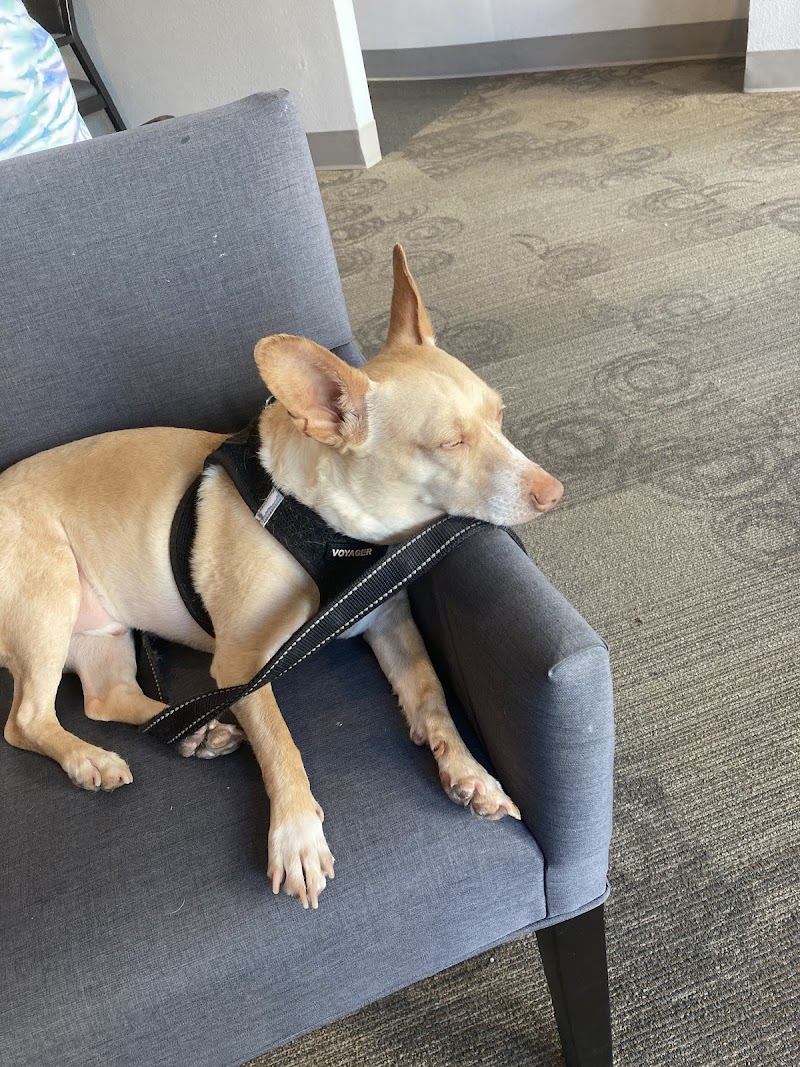 Elliott Bay Animal Hospital