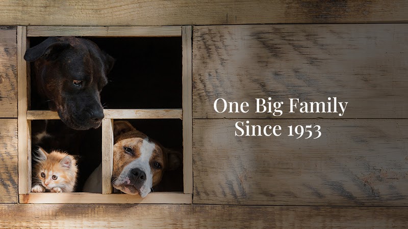 Pacific Veterinary Hospital - Portland