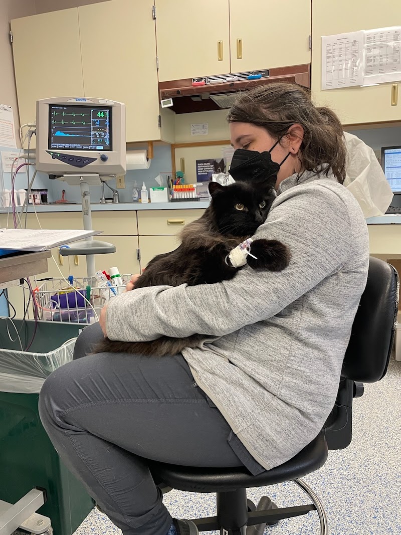 Pacific Veterinary Hospital