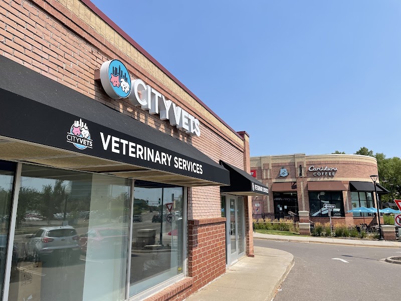 Cityscape Vets On Excelsior