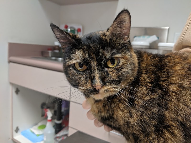 Towne Centre Animal Hospital