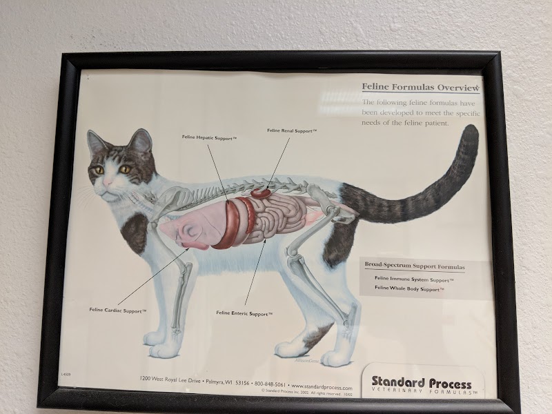 Towne Centre Animal Hospital