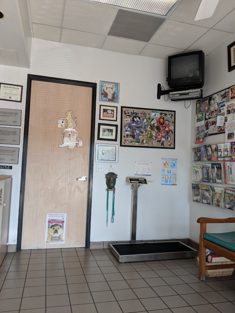 Towne Centre Animal Hospital