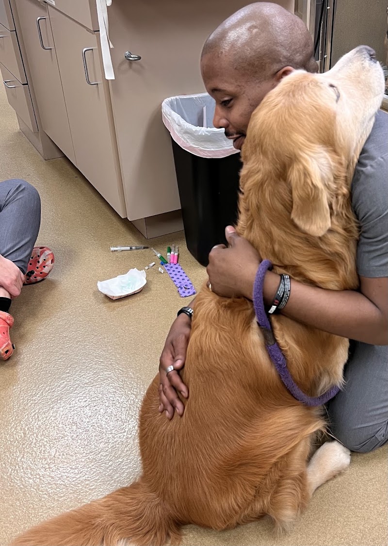 CARE Animal Surgery Center