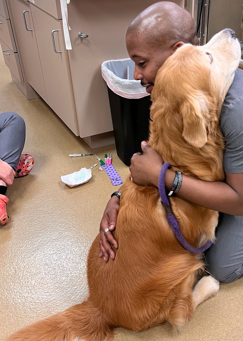 CARE Animal Surgery Center