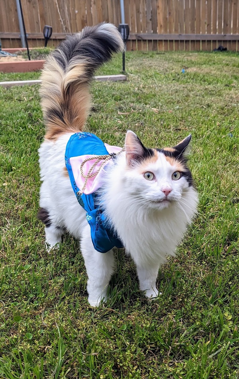 Austin Veterinary Diagnostic Hospital