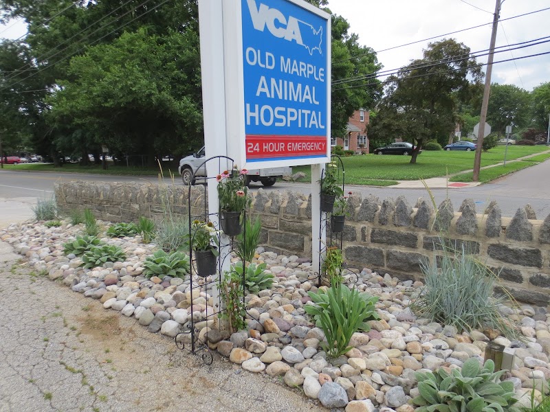 VCA Old Marple Animal Hospital