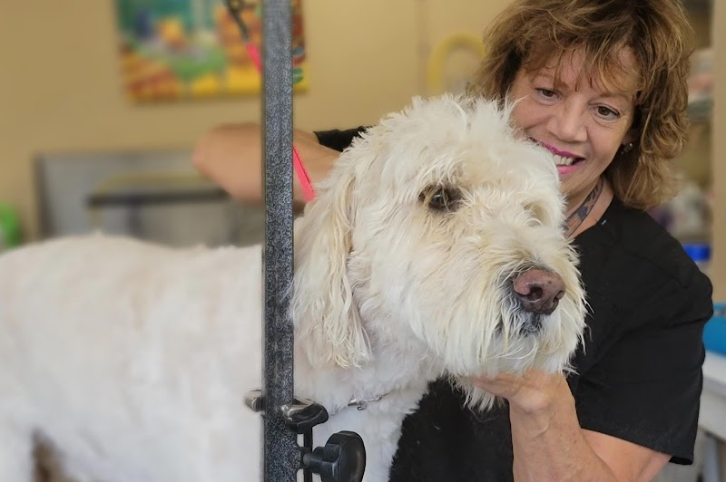 VCA Old Marple Animal Hospital