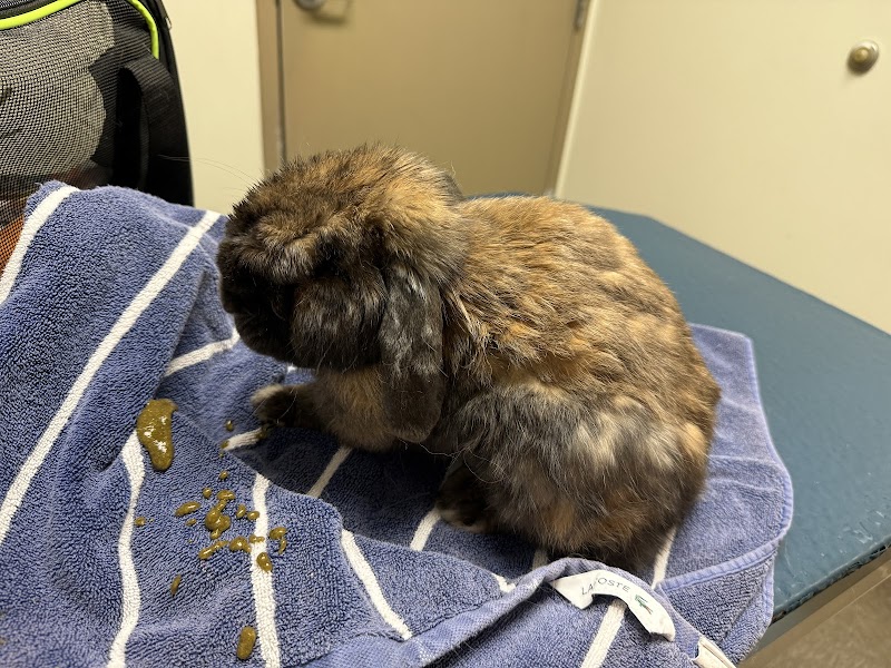 North Peninsula Veterinary Emergency Clinic