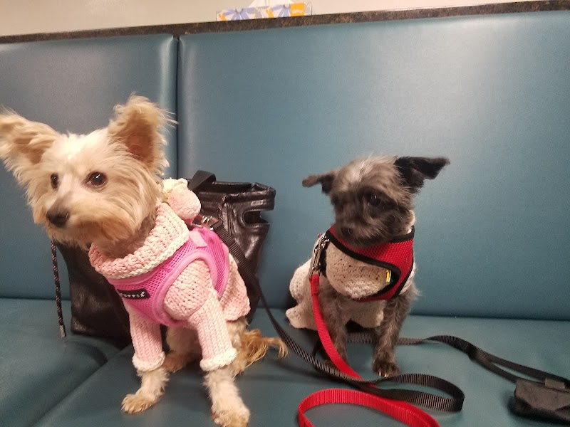 Center for Veterinary Care