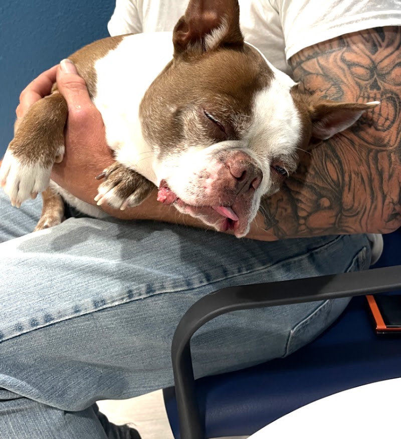 Thrive Pet Healthcare Specialists - Mansfield