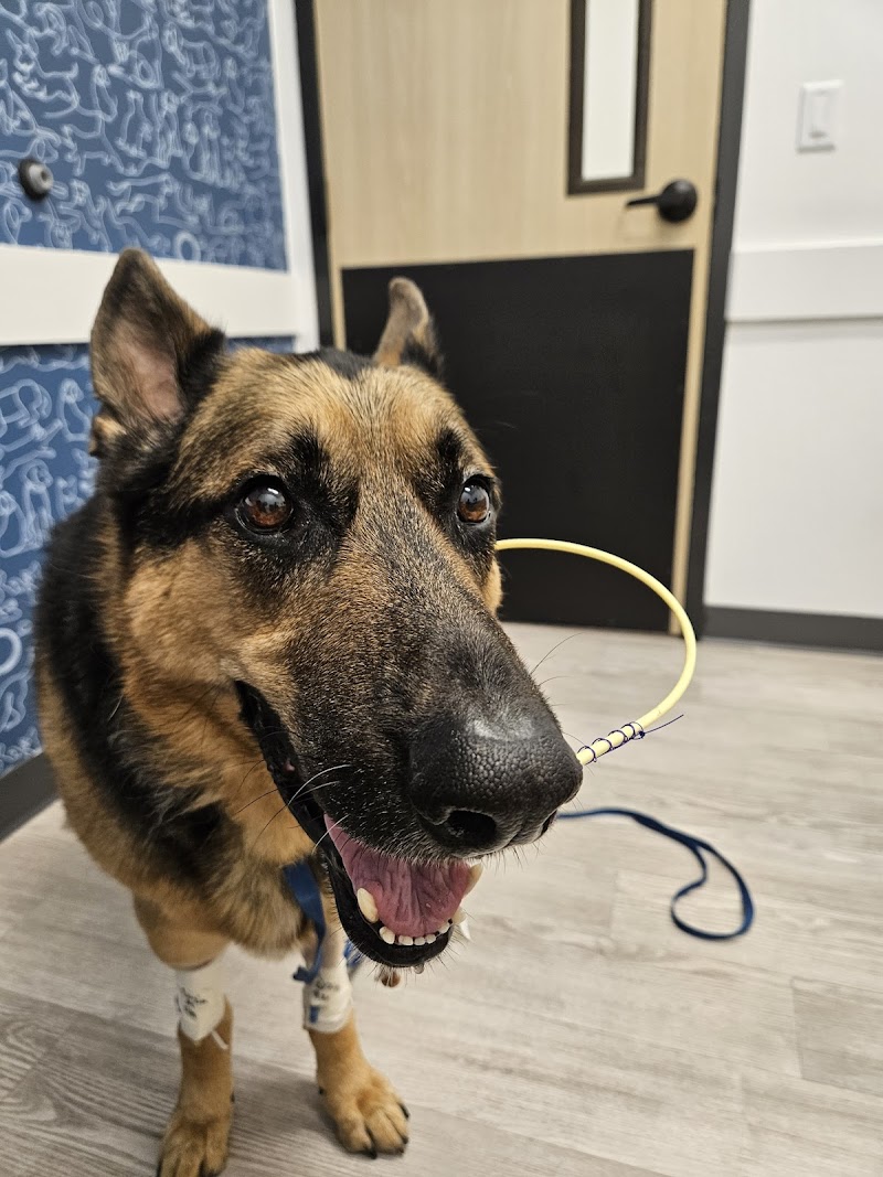 Thrive Pet Healthcare Specialists - Mansfield