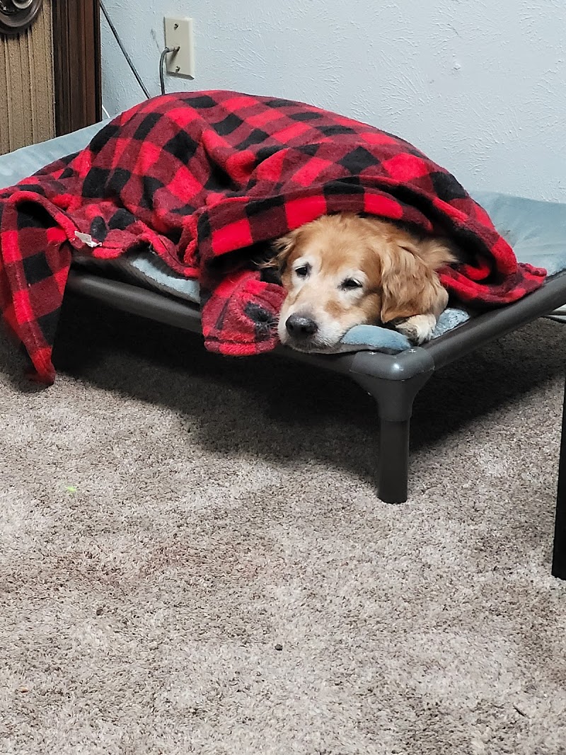 Thrive Pet Healthcare Specialists - Mansfield