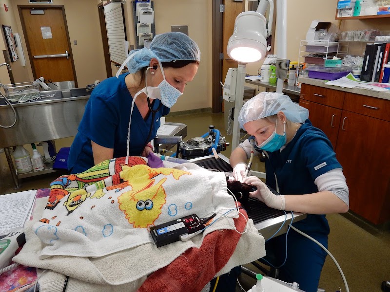 Westgate Pet Clinic