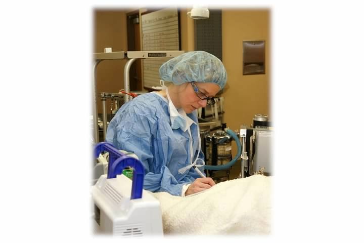 Westgate Pet Clinic