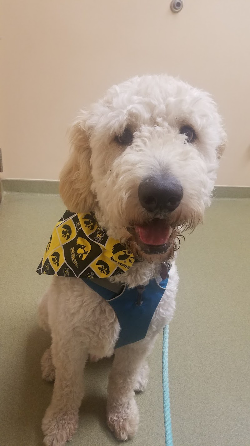 Westgate Pet Clinic